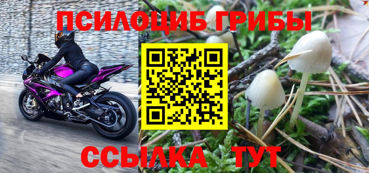 Галлюциногенные грибы Psilocybe  Галлюциногенные грибы MAGIC MUSHROOMS  Вход с VPN  Каменка 